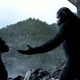 Image for article titled How Dawn of the Planet of the Apes Made Overgrown Future Woods in Canada